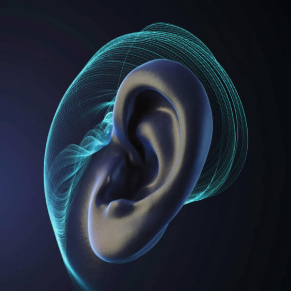 AUDIOLOGICO COMPLETO